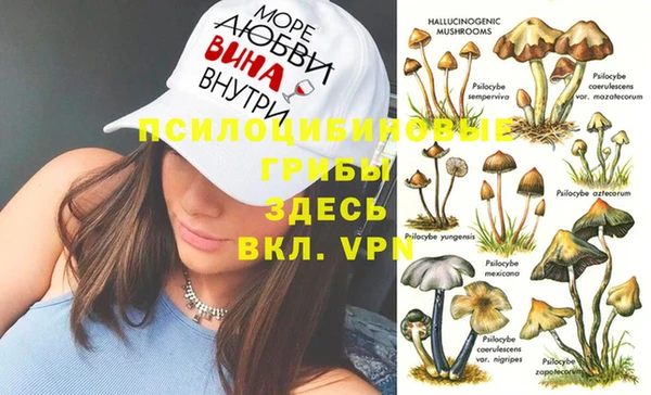 гидра Михайловск