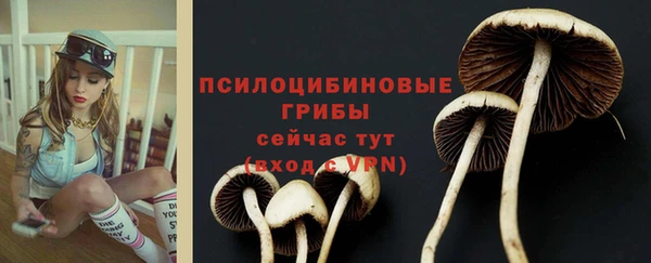 ALPHA-PVP Кукмор