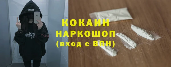 гидра Михайловск