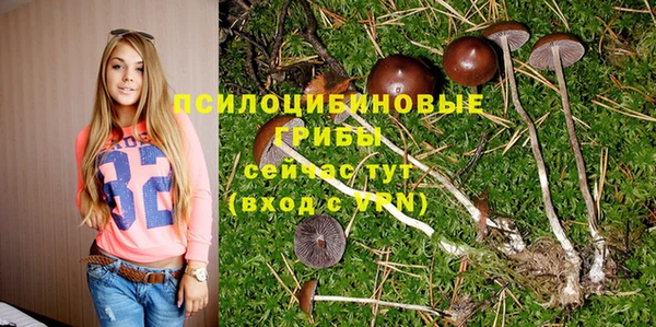марки nbome Михайлов