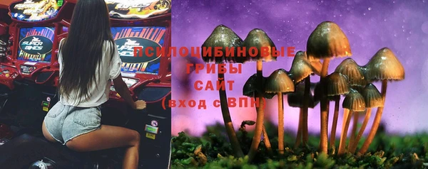 ALPHA-PVP Кукмор