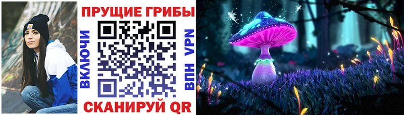 Галлюциногенные грибы Psilocybe  Завитинск 